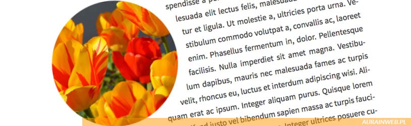 Dopasowanie tekstu do kształtu obrazka, ale nie tylko – CSS