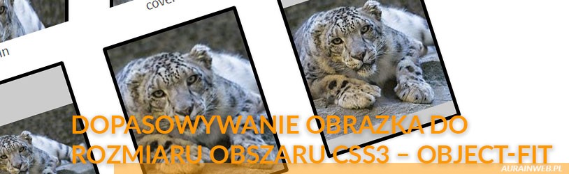 Dopasowywanie obrazka do rozmiaru obszaru roboczego CSS3 – object-fit