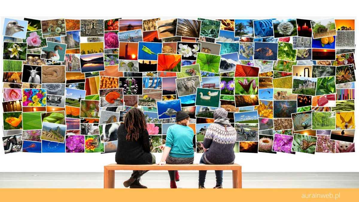 Charakterystyka właściwości clip CSS