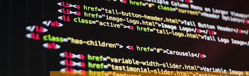Full stack developer