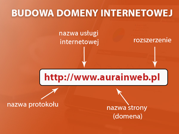 budowa domeny internetowej