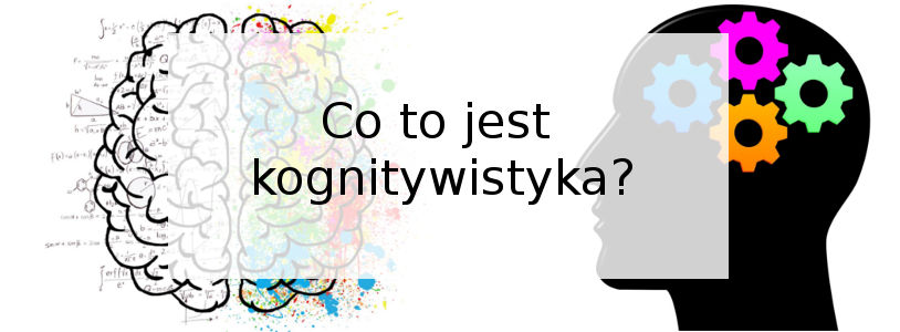 Czym się zajmuje kognitywistyka?