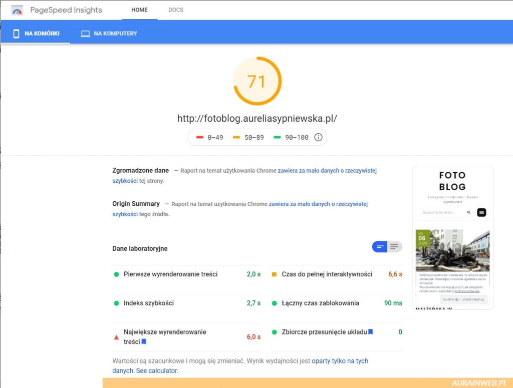 PageSpeed Insights